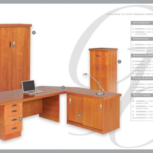 veneer_versi2